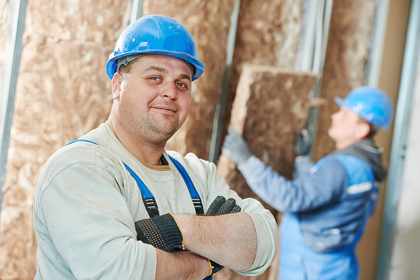 Best Attic Insulation Installation  in Mckinney, TX